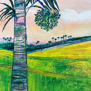 Palm and Fields 