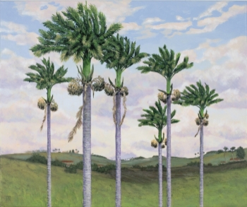 Palms in a Row