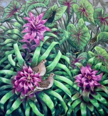 Wood Doves & Bromeliad